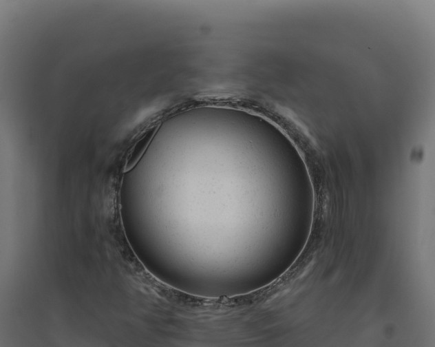 X0000094771350200711241308