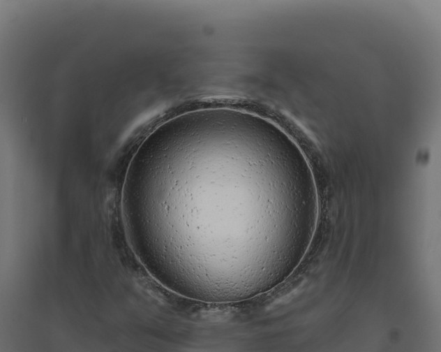 X0000094771351200711241308