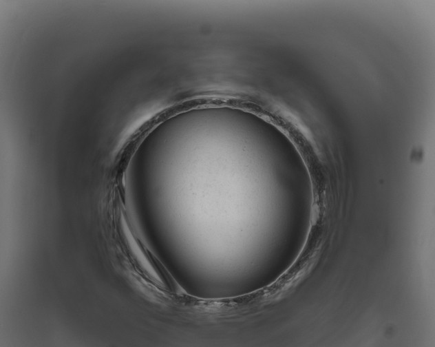 X0000094771352200711241308