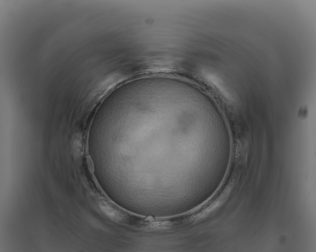 X0000094771353200711241308