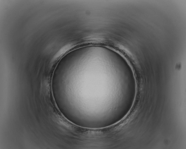 X0000094771354200711241308