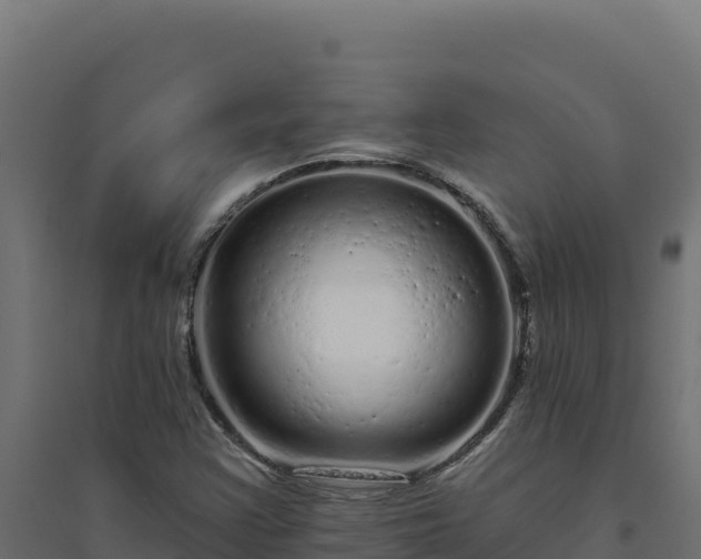 X0000094771355200711241308