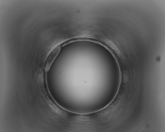 X0000094771356200711241308