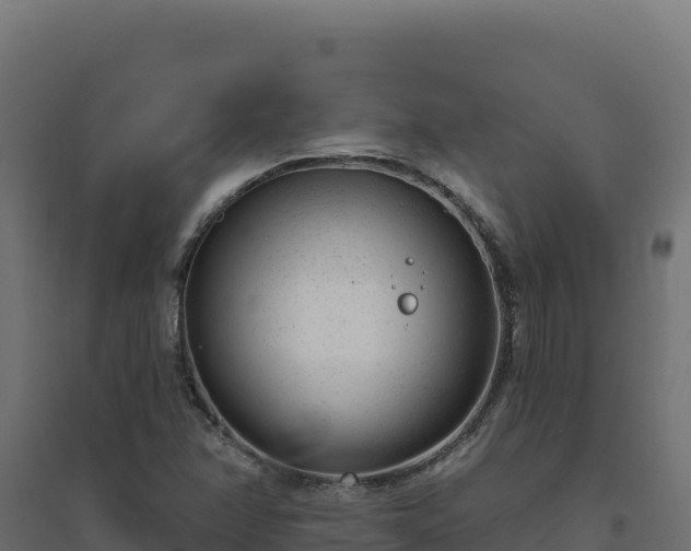 X0000094771358200711241308