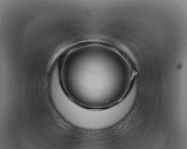 X0000094771360200711241308