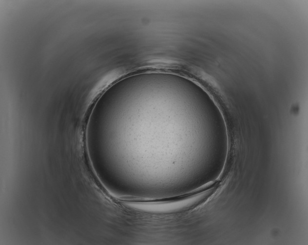 X0000094771362200711241307