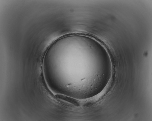 X0000094771363200711241307