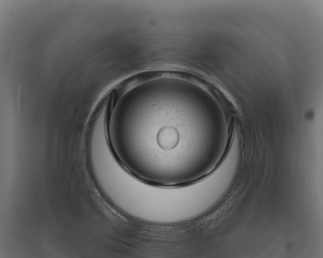 X0000094771364200711241307