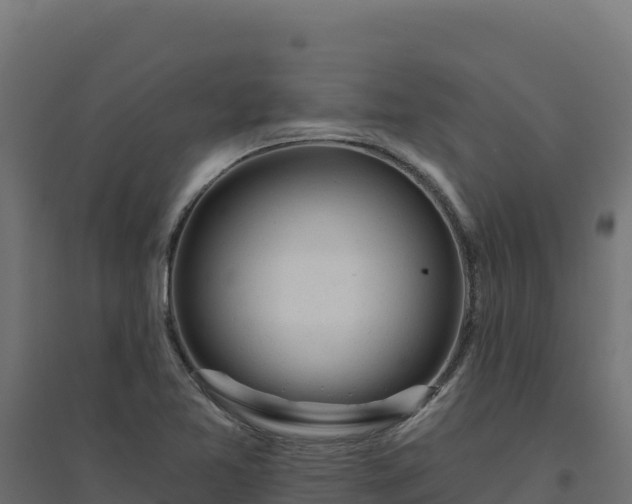 X0000094771365200711241307