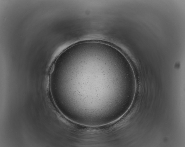 X0000094771366200711241307