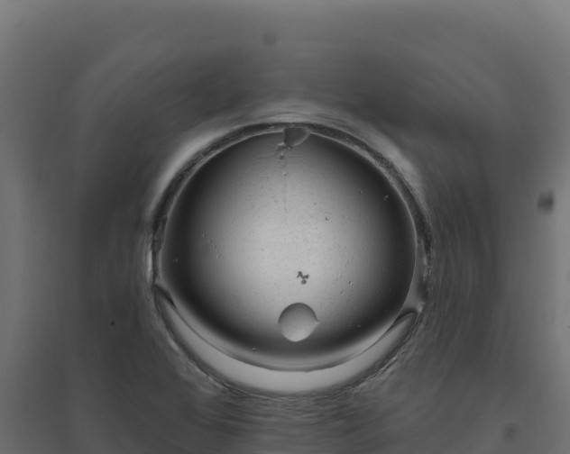 X0000094771368200711241307