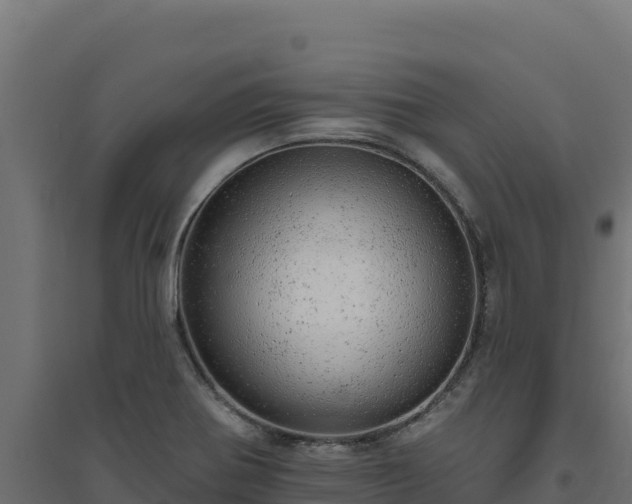 X0000094771370200711241307