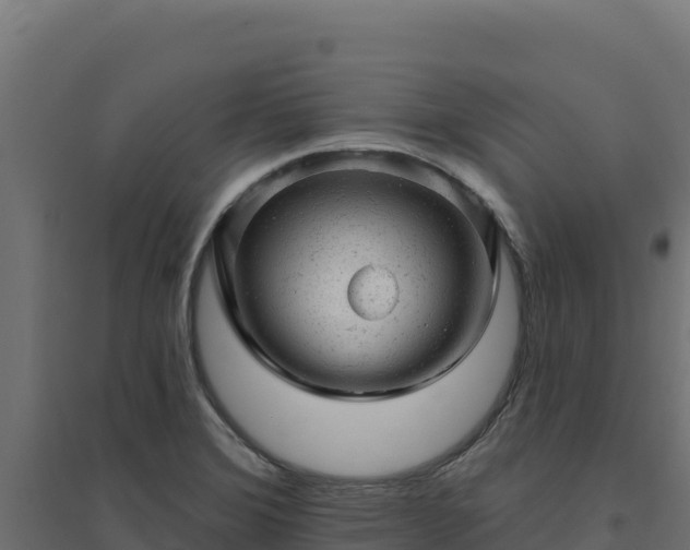 X0000094771372200711241307