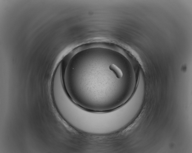 X0000094771373200711241307