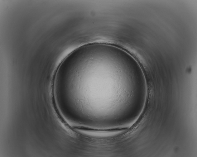 X0000094771375200711241307