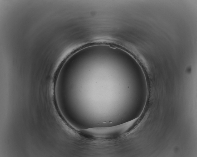 X0000094771376200711241307