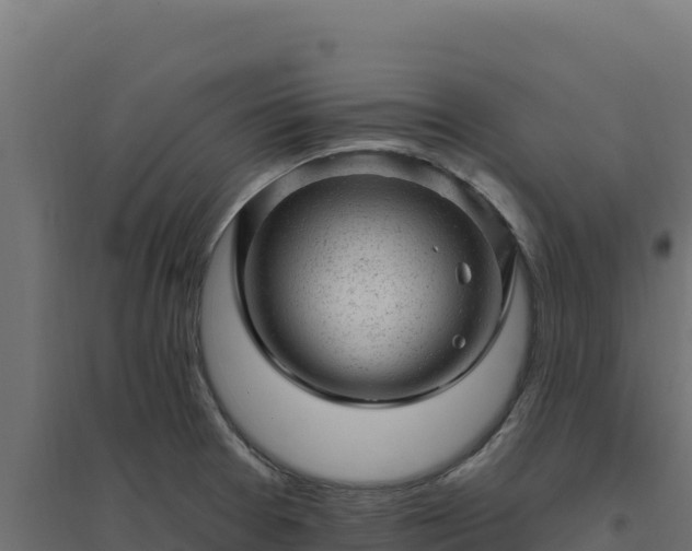 X0000094771377200711241307