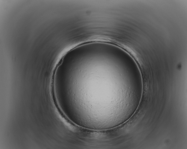 X0000094771379200711241307