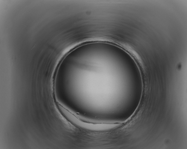 X0000094771380200711241307