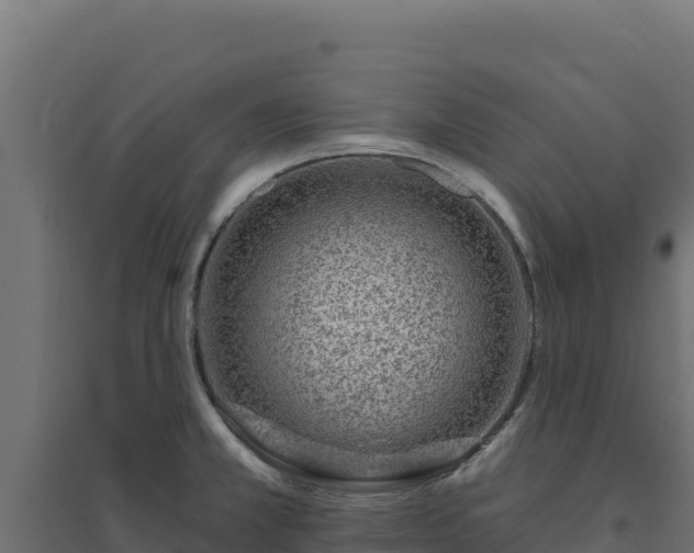 X0000094771381200711241307