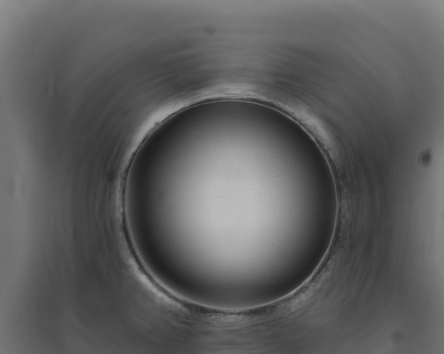 X0000094771382200711241307