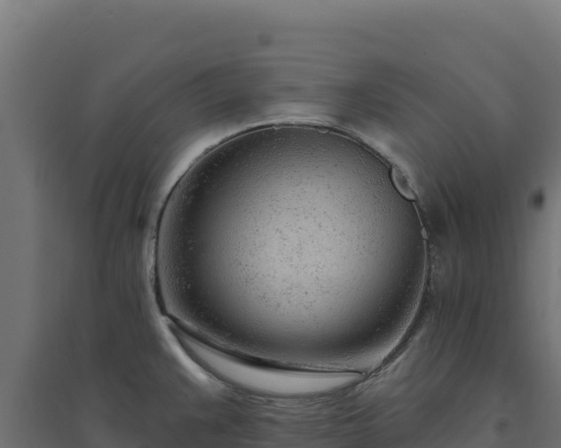 X0000094771383200711241307