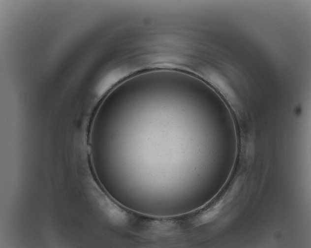 X0000094771384200711241307