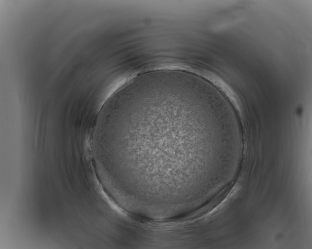 X0000094771385200711241307