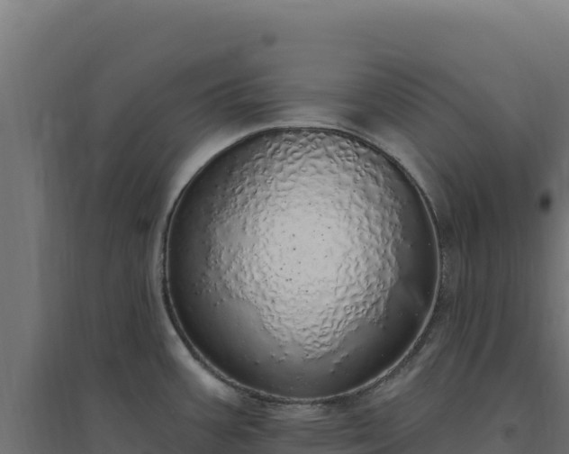 X0000094771387200711241307