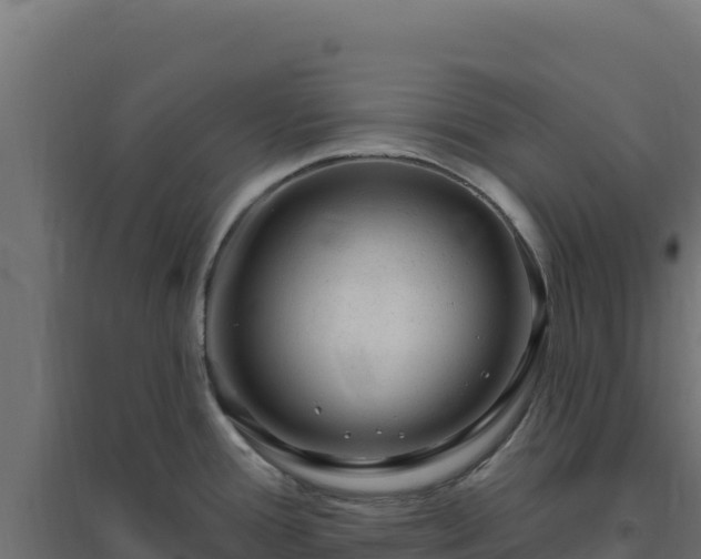 X0000094771388200711241307