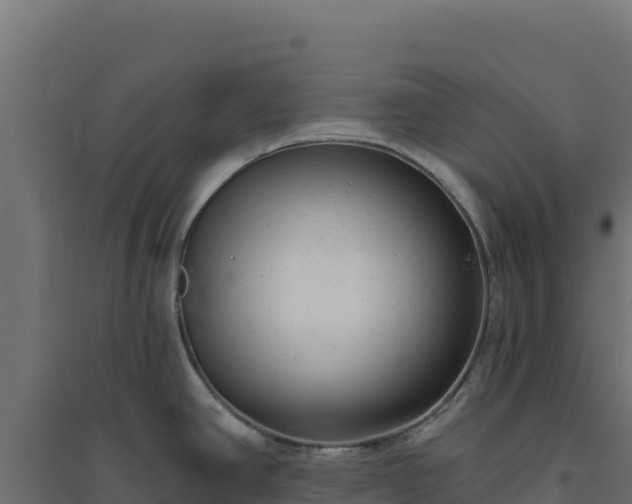 X0000094771390200711241307