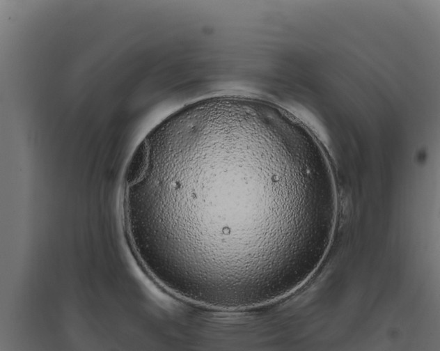 X0000094771391200711241307