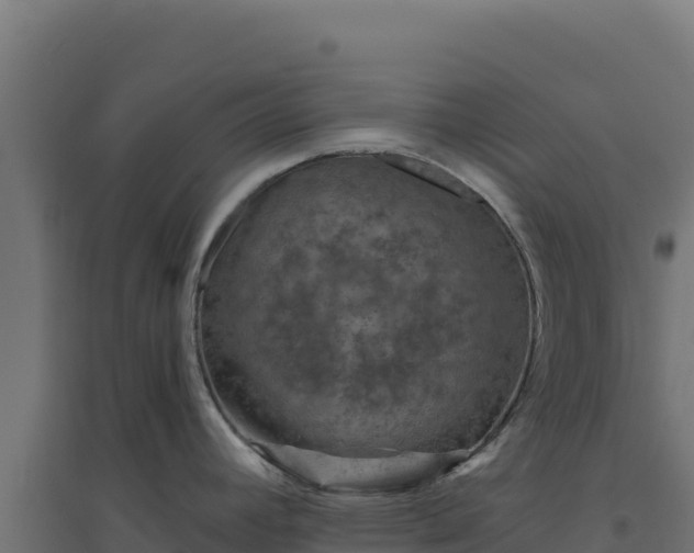 X0000094771392200711241307