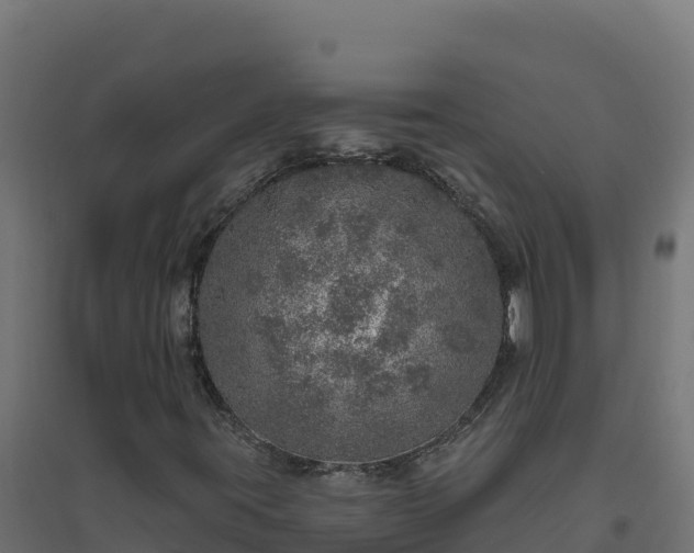 X0000094771395200711241306