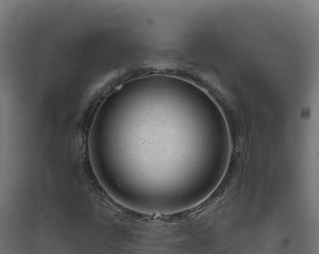 X0000094771398200711241306