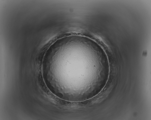 X0000094771399200711241306