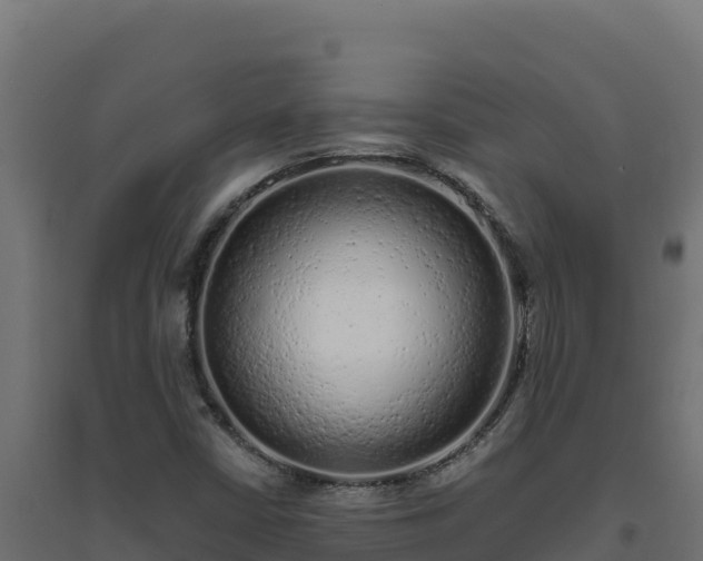 X0000094771402200711241307