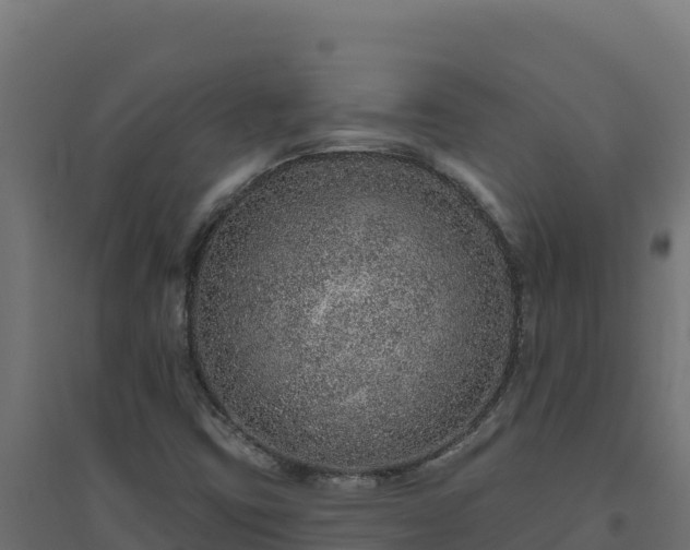 X0000094771403200711241307