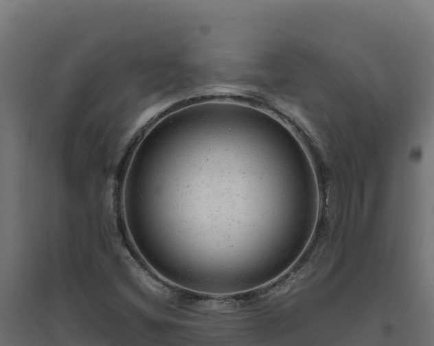 X0000094771404200711241307