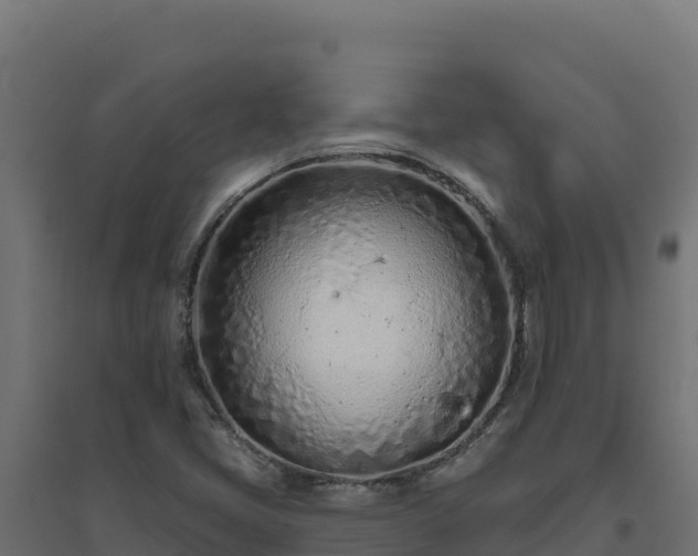 X0000094771405200711241307