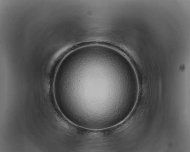 X0000094771406200711241307