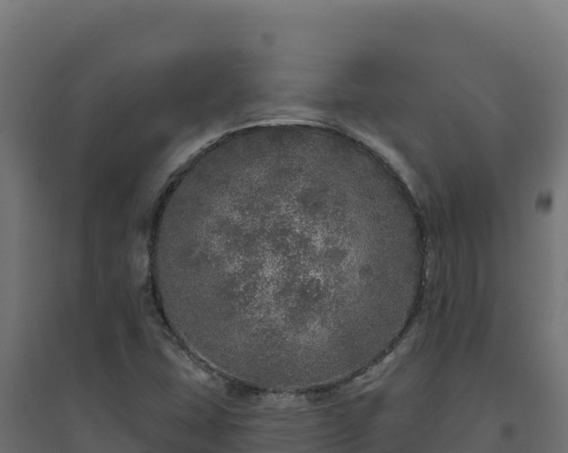 X0000094771407200711241307