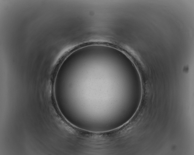 X0000094771408200711241307