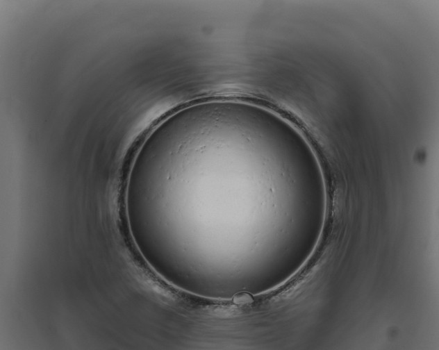 X0000094771410200711241307