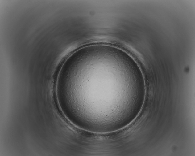 X0000094771411200711241307