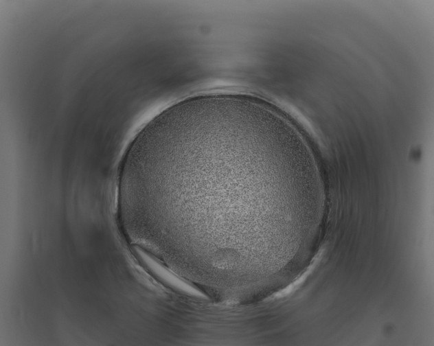 X0000094771413200711241307