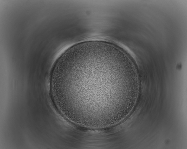 X0000094771415200711241307