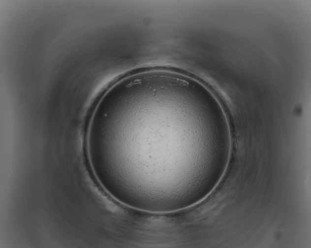 X0000094771416200711241307