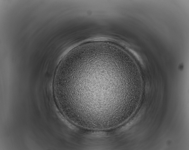 X0000094771417200711241307