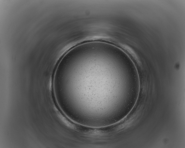 X0000094771420200711241307